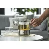 ZWILLING Sorrento | teáskanna melegentartóval 800 ml | átlátszó
