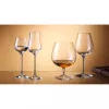 Purismo Specials brandy pohár 4,7 dl 137mm