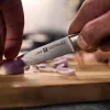 ZWILLING FOUR STAR | hámozókés 10 cm | színtelen