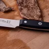 ZWILLING Gourmet | vágókés 20 cm | színtelen
