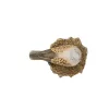  Goebel - Bird of the Year 2020 - Turtle Dove Figura 9,5 cm