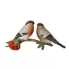  Goebel - Figurine Gimpel couple 11 cm