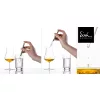 Eisch Gentleman Whisky Pipetta készlet, víztiszta