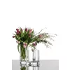 Eisch TONIO váza 150 mm
